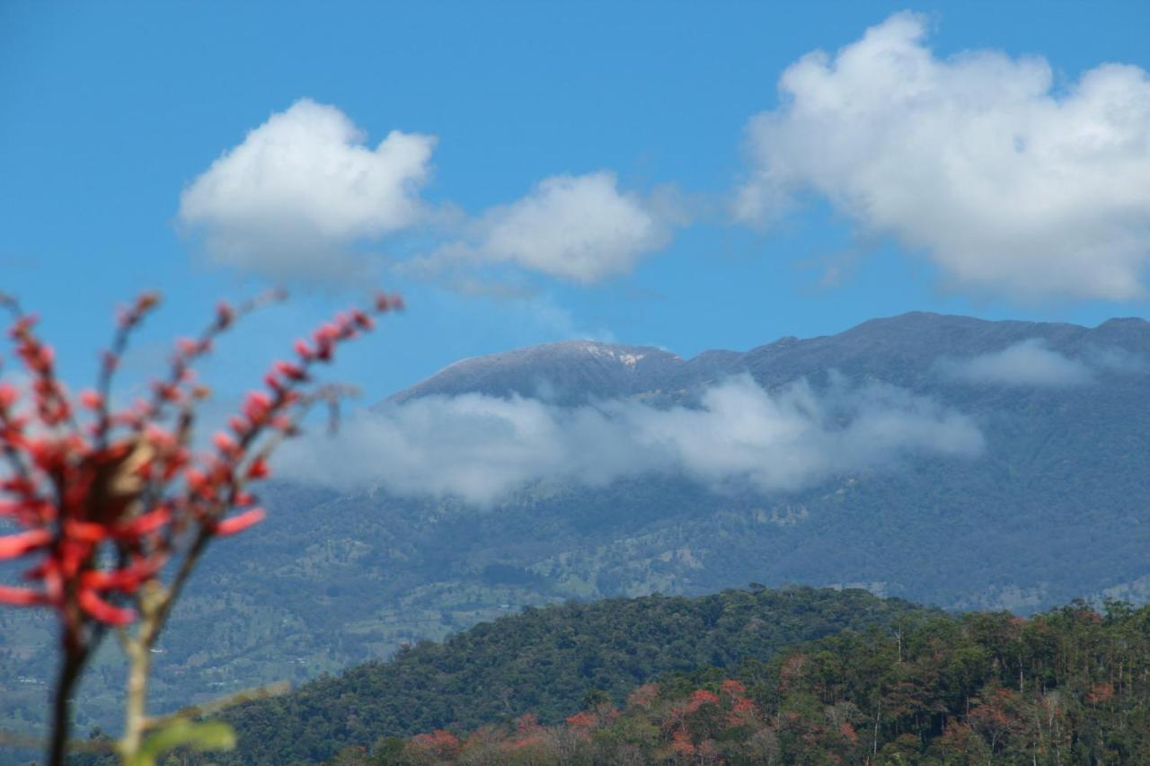 Hacienda Monteclaro Hotell Turrialba Rum bild