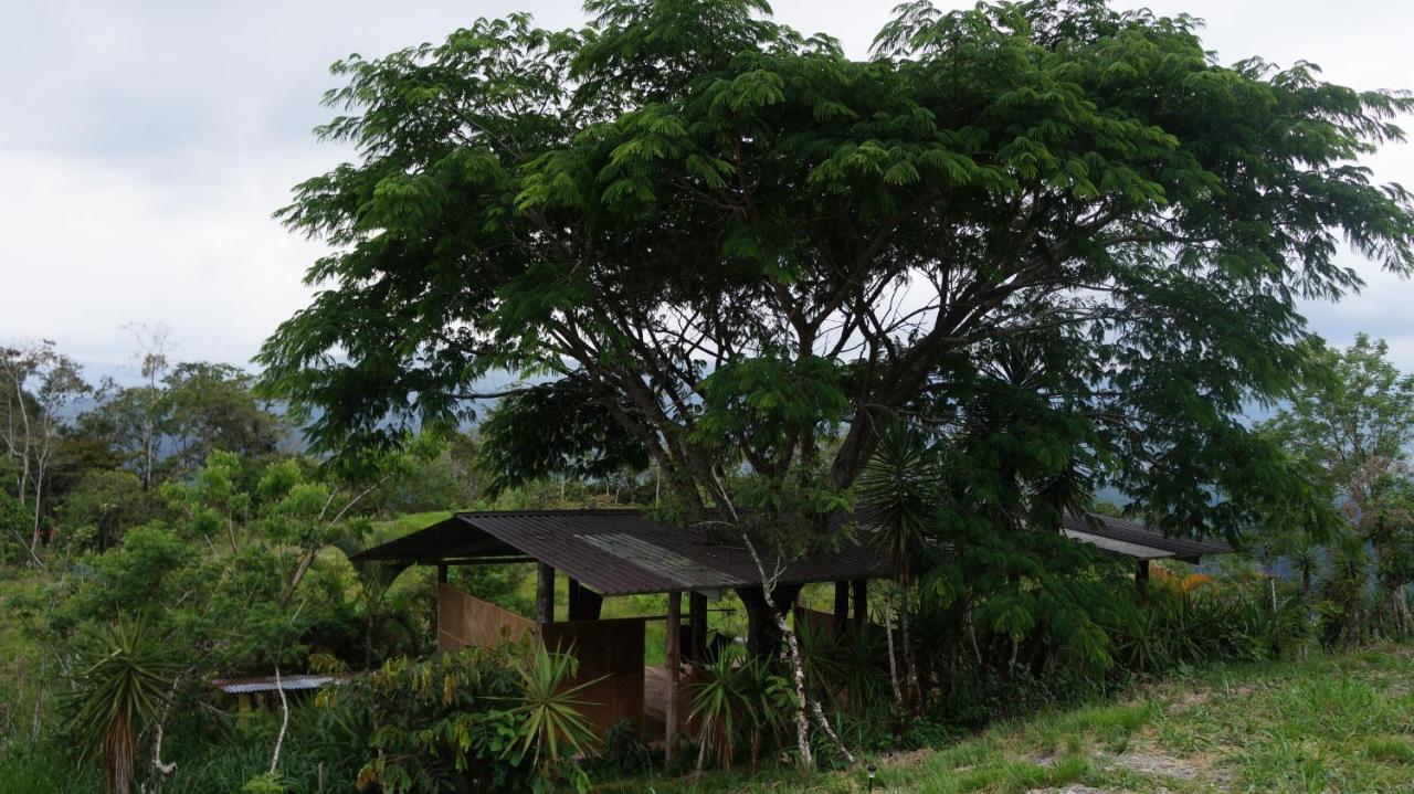 Hacienda Monteclaro Hotell Turrialba Exteriör bild