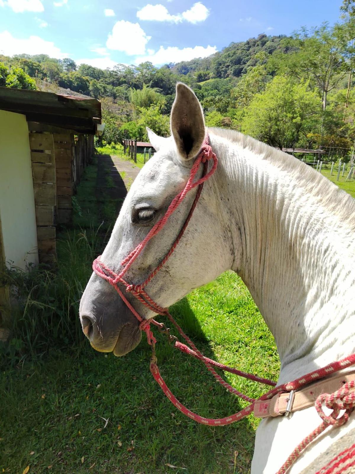 Hacienda Monteclaro Hotell Turrialba Exteriör bild