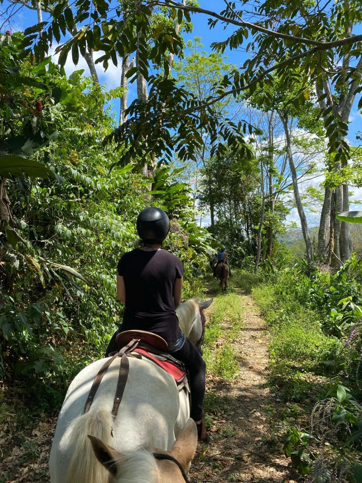 Hacienda Monteclaro Hotell Turrialba Exteriör bild