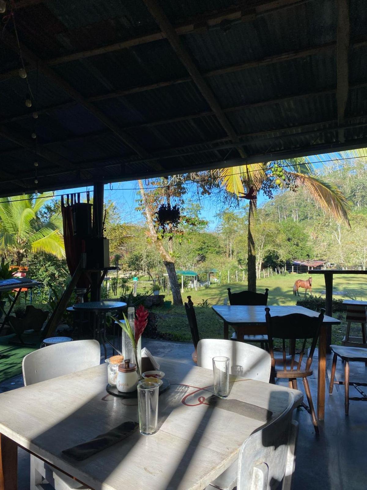 Hacienda Monteclaro Hotell Turrialba Exteriör bild