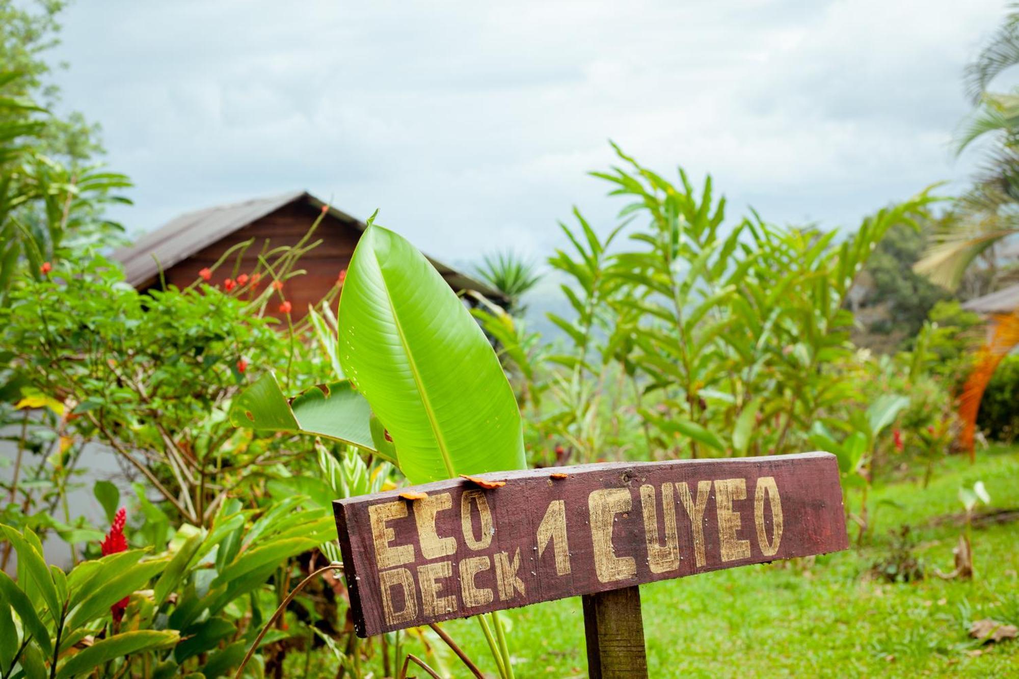 Hacienda Monteclaro Hotell Turrialba Exteriör bild